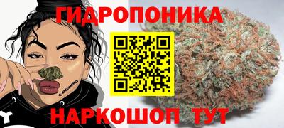 дживик Обь