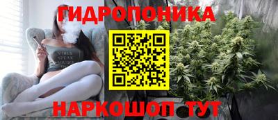 дживик Обь