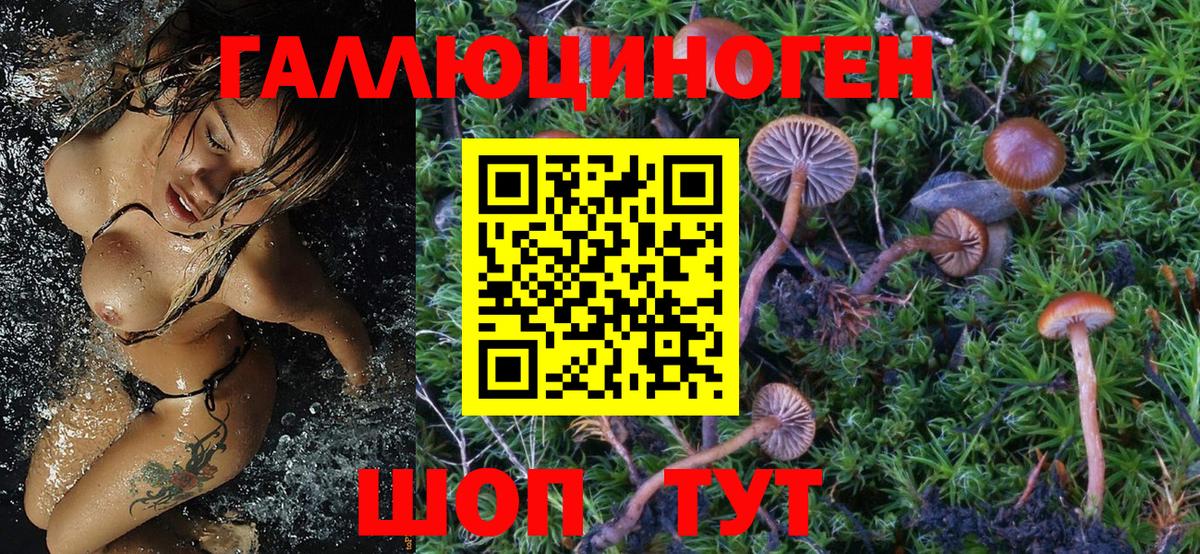 Псилоцибиновые грибы ЛСД  Псилоцибиновые грибы Magic Shrooms  Вход с VPN  Унеча 