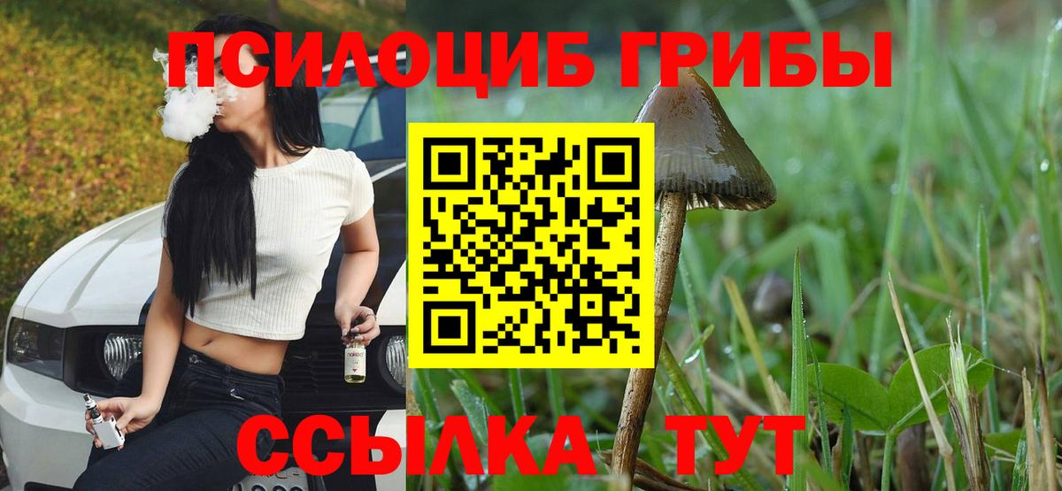 Галлюциногенные грибы MAGIC MUSHROOMS Унеча