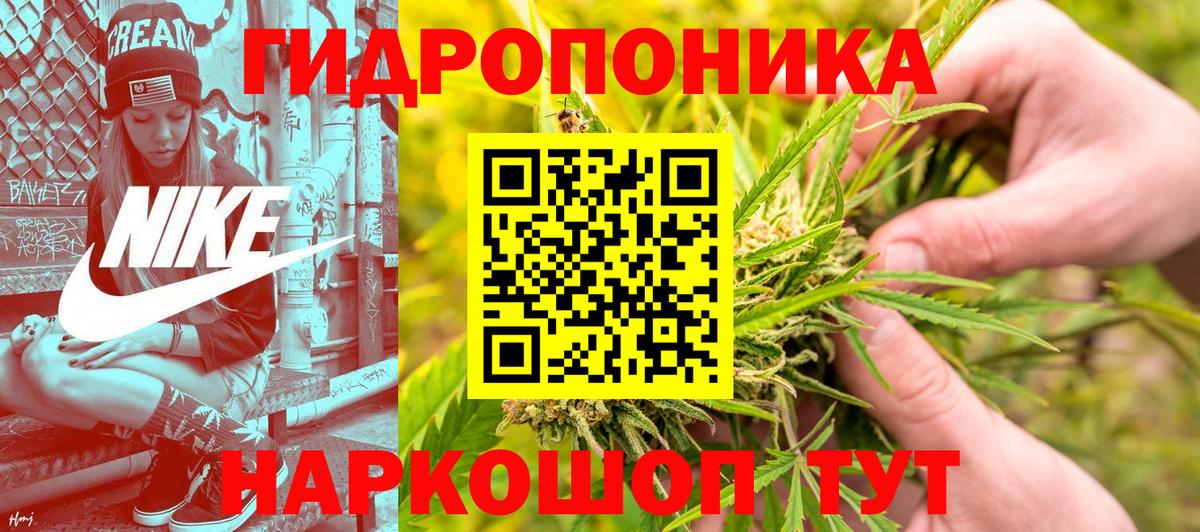 Унеча  Бошки Шишки AK-47  Каннабис марихуана  Вход с VPN  Конопля планчик 